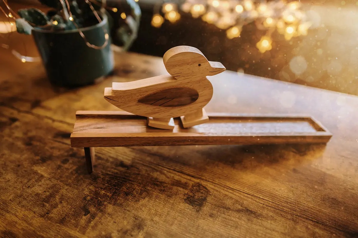 Walking Duck Toy 1