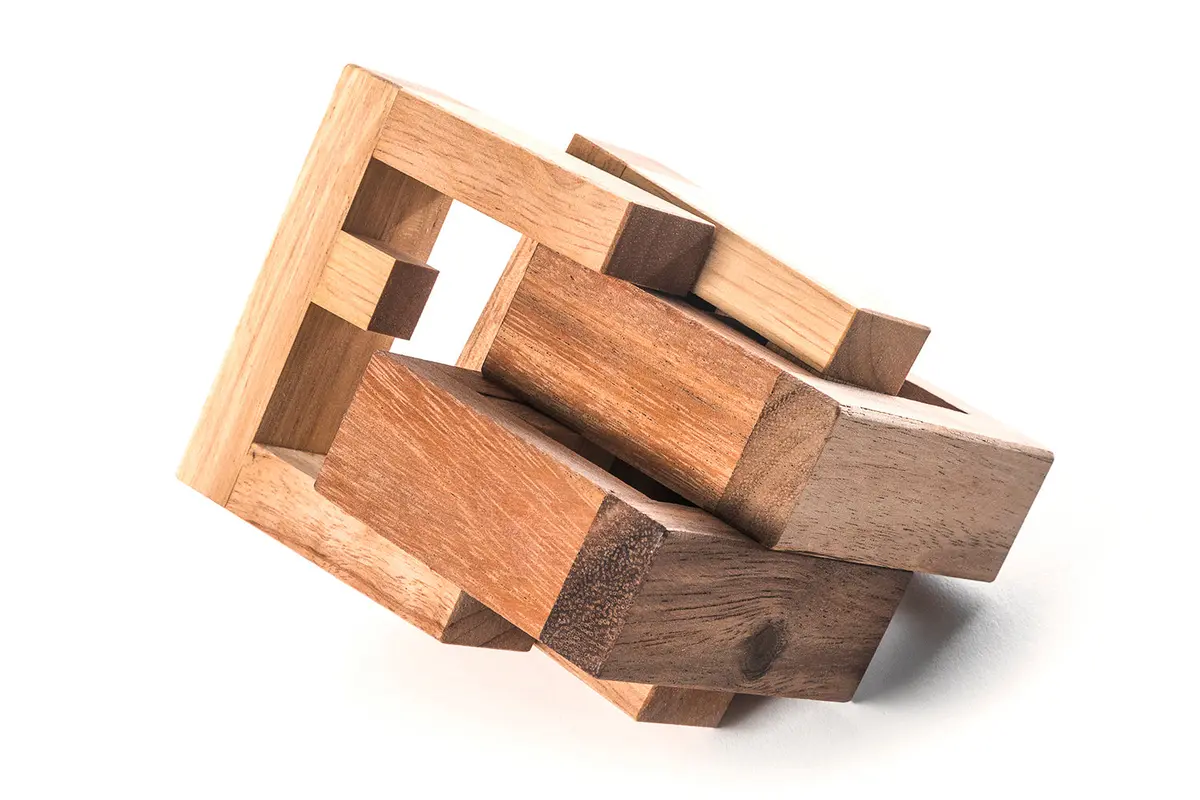 Double Lock Puzzle - Wooden Brain Teaser Puzzle 1