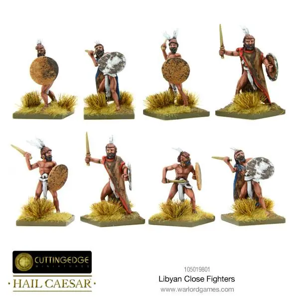 Libyan Close Fighters 1