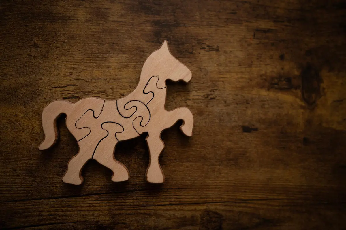 Double Sided Horse Puzzle 1