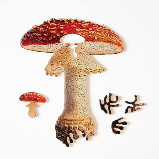 Mini Wooden Puzzles - Nervous System 4