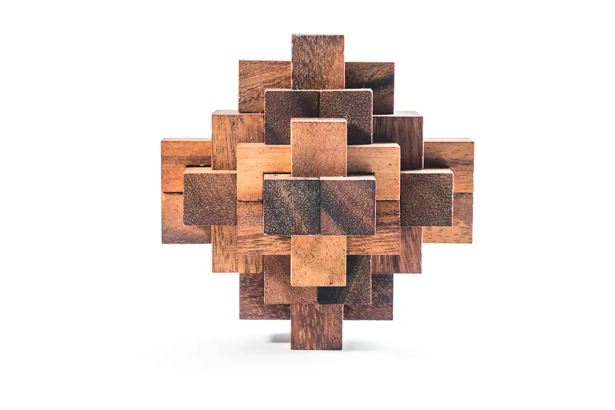 Construct Puzzle - Interlocking 24 Piece Burr Puzzle 1