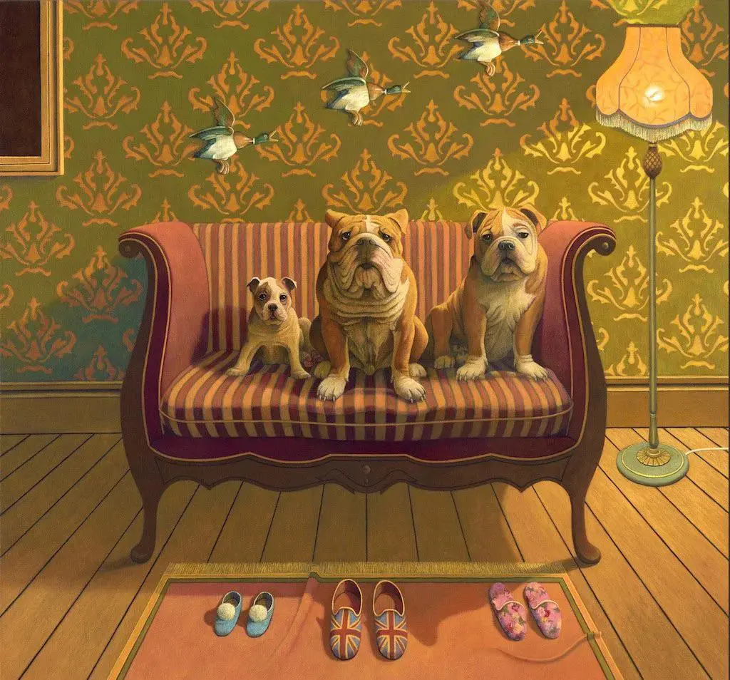 Creature Comforts 1