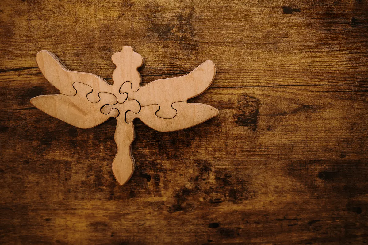 Double-Sided Dragonfly Puzzle 1