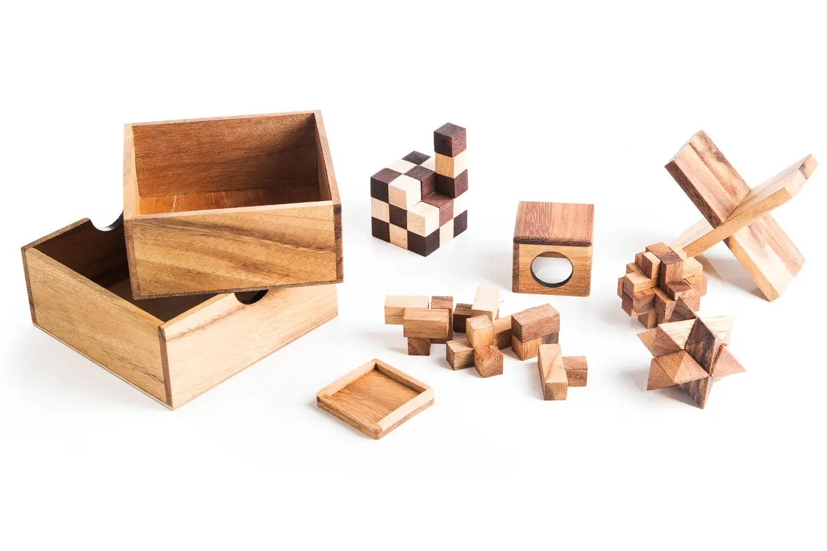 5 Mechanical Puzzle Set - Puzzle Gift Box For Adults 2