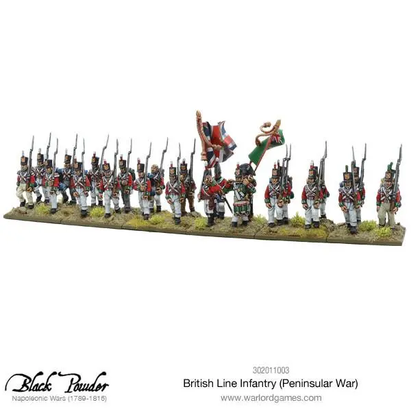 British Line Infantry (Peninsular War) 2