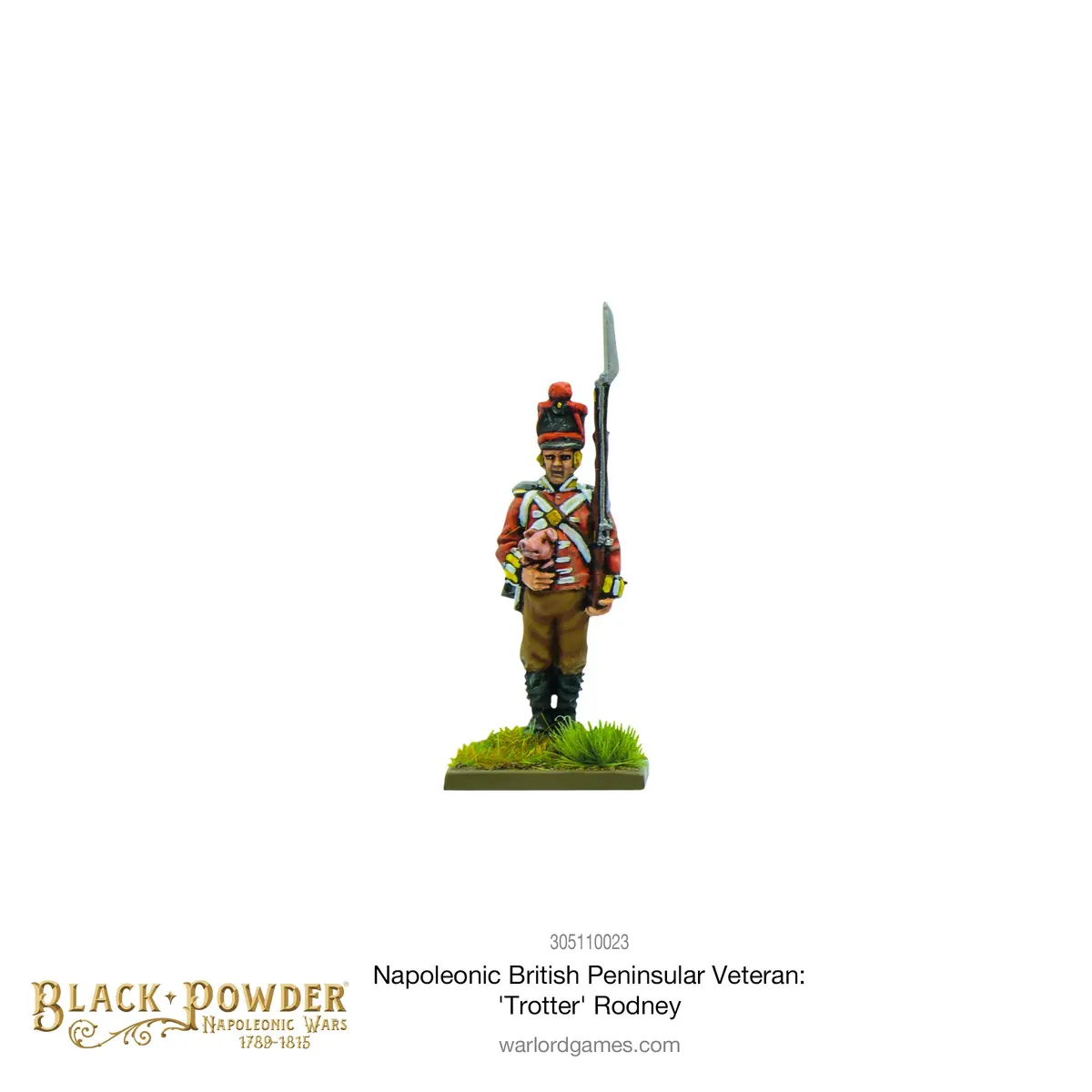 Napoleonic British Peninsular Veteran: 'Trotter' Rodney 1