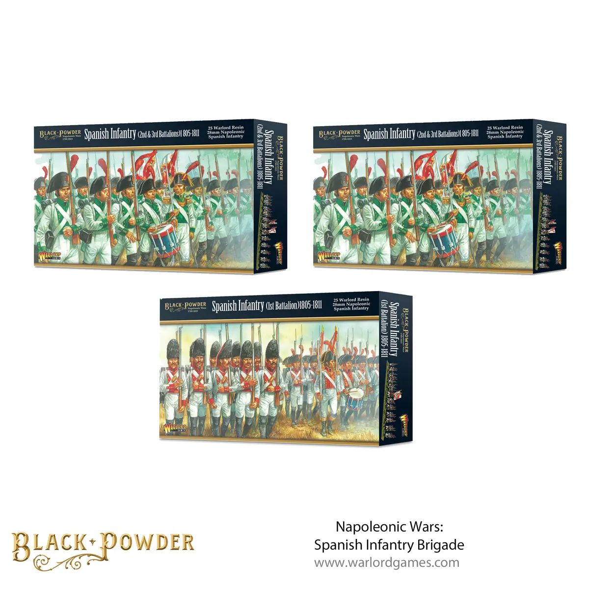 Battle Of Baylen - Napoleonic Spanish Infantry Regiment 1