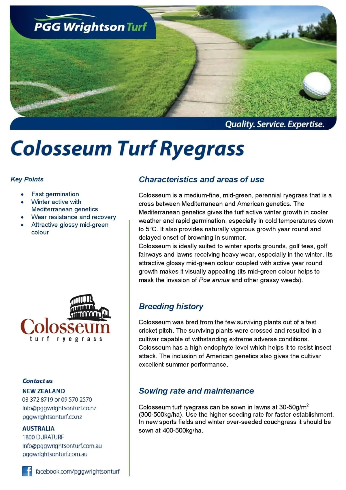 Colosseum Ryegrass Seed 1