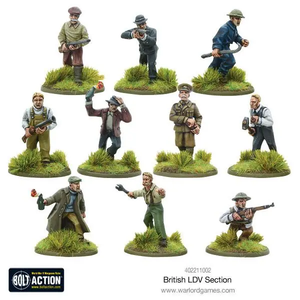 British Ldv Section 1