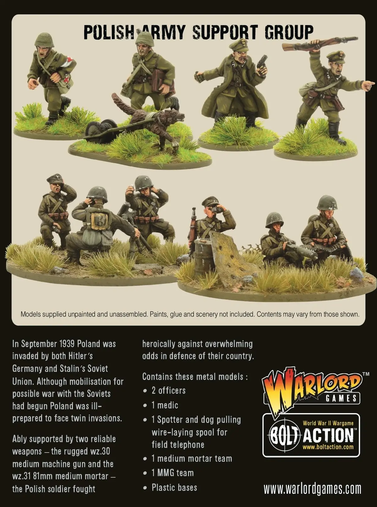 Polish Army Support Group 2