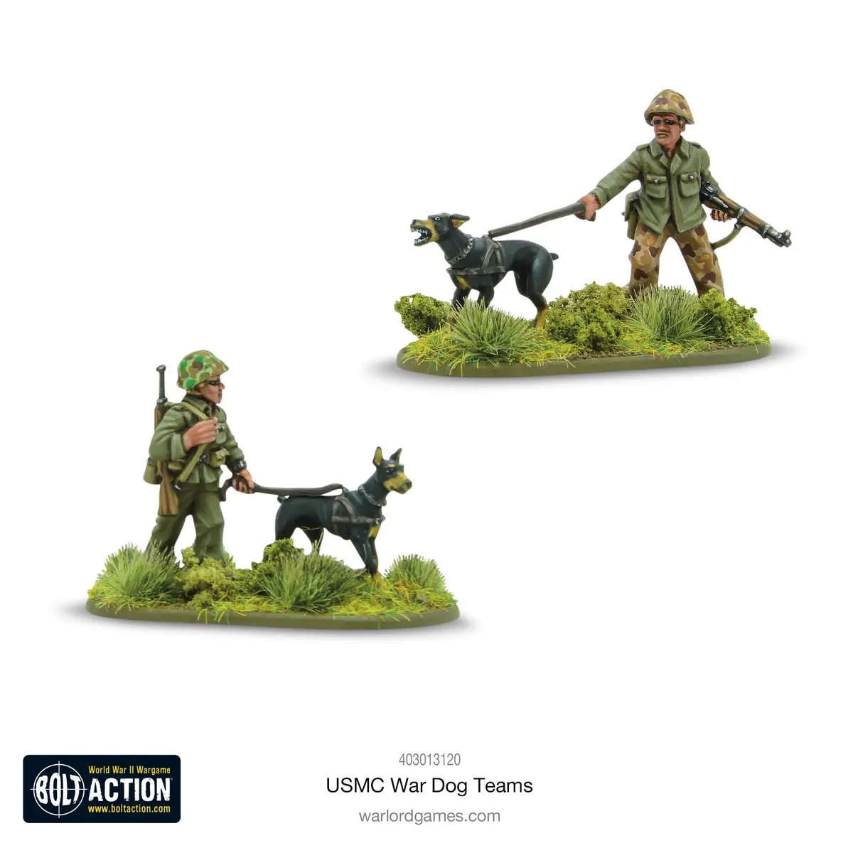 Usmc War Dog Teams 1