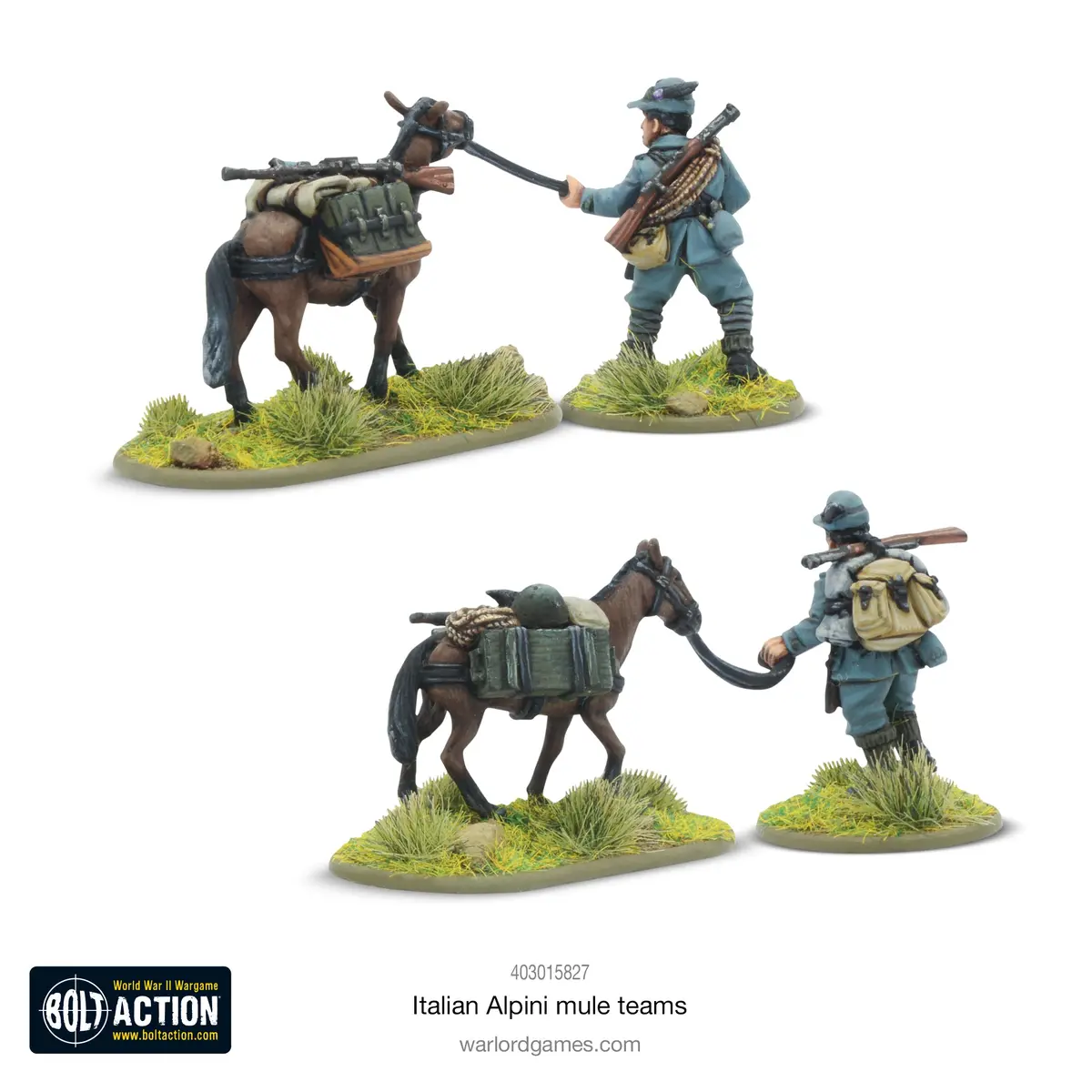 Italian Alpini Mule Teams 2