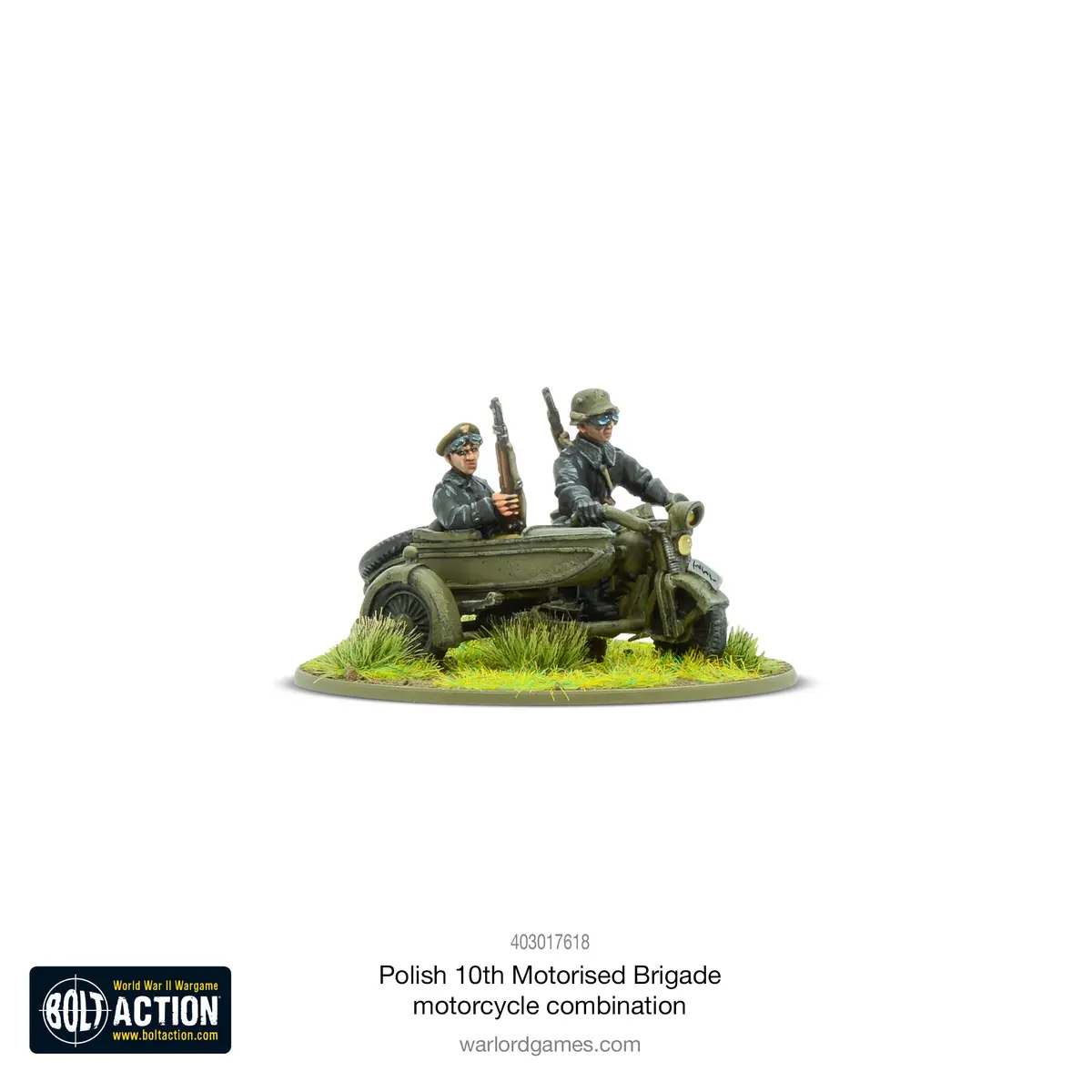 Polish 10Th Motorized Brigade Motorcycle Combination 1