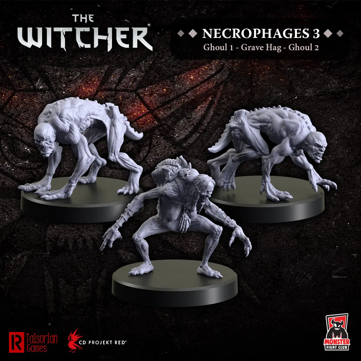 The Witcher - Necrophages 3: Grave Hag 1