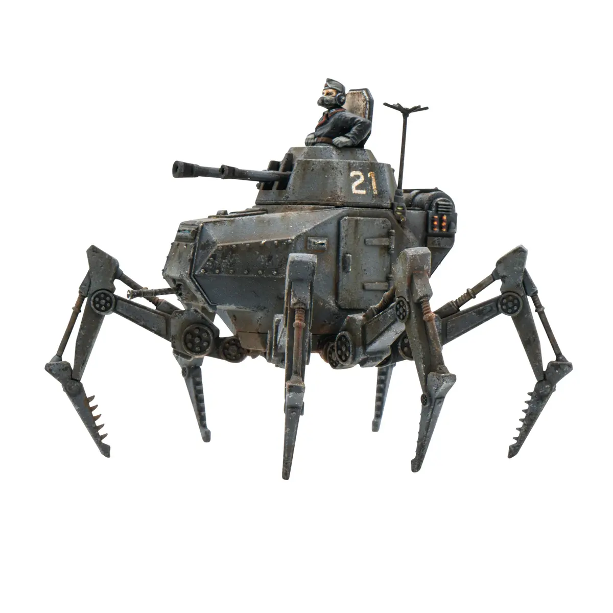 Vogelspinne Light Walker 1