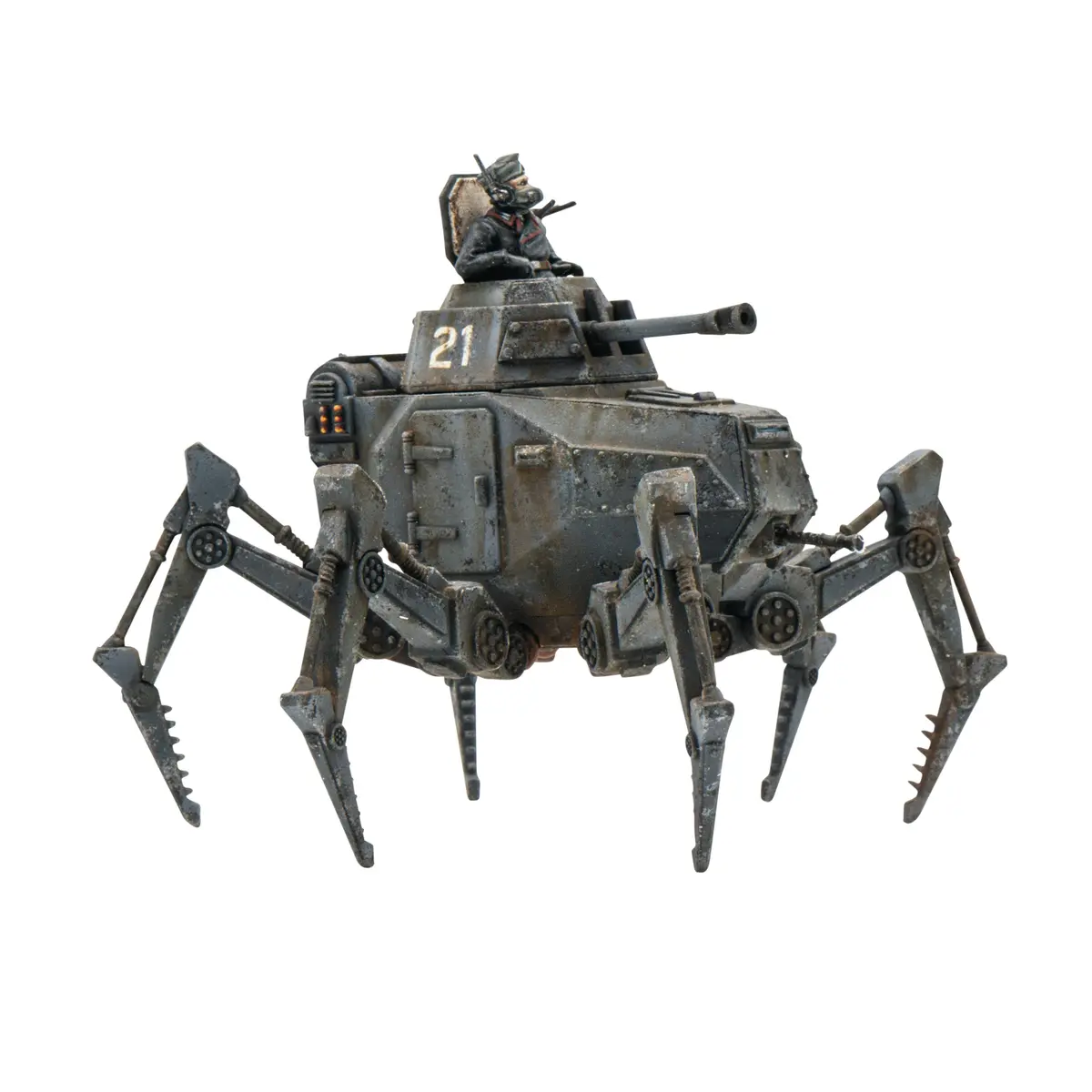 Vogelspinne Light Walker 2