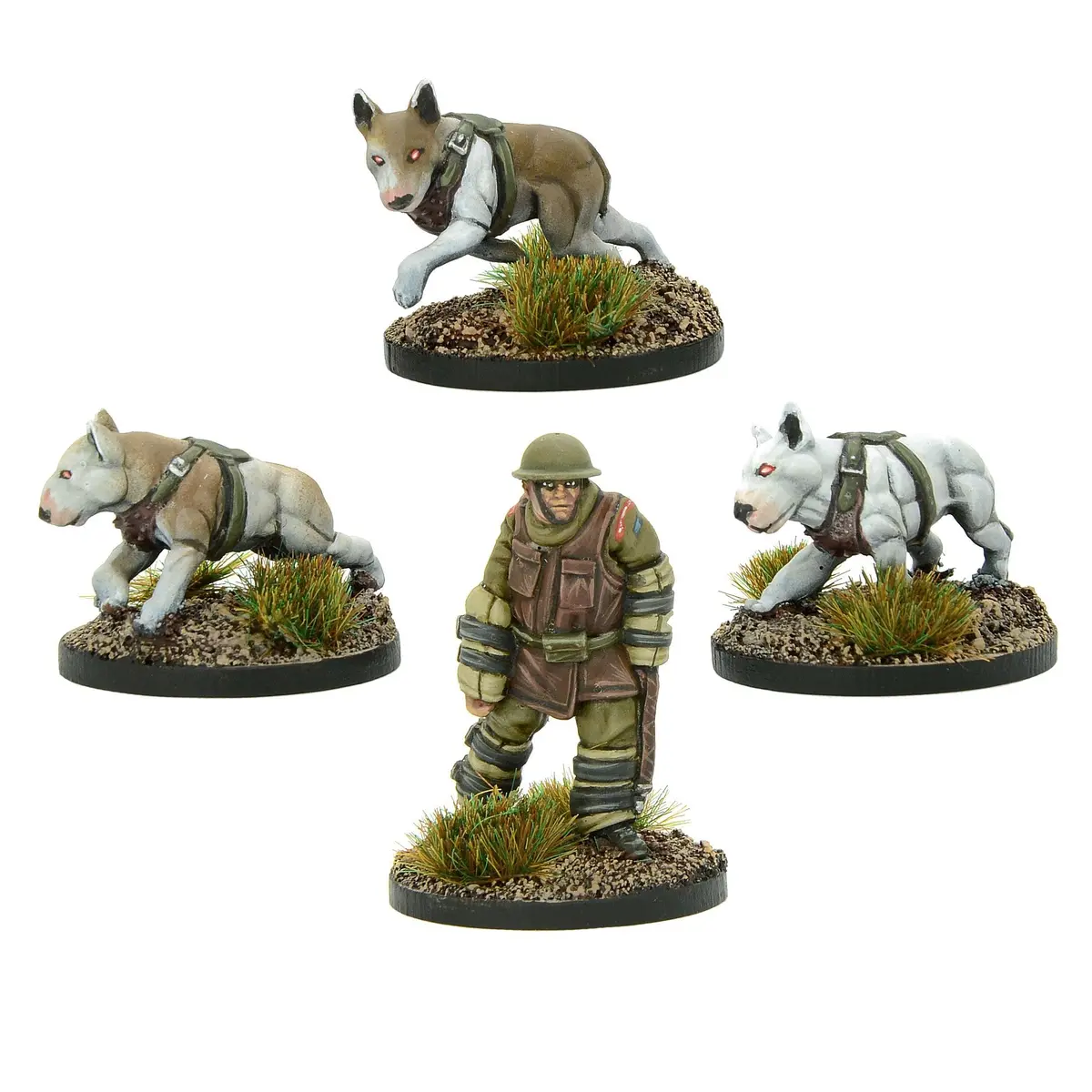 Cerberus Squad 2 1