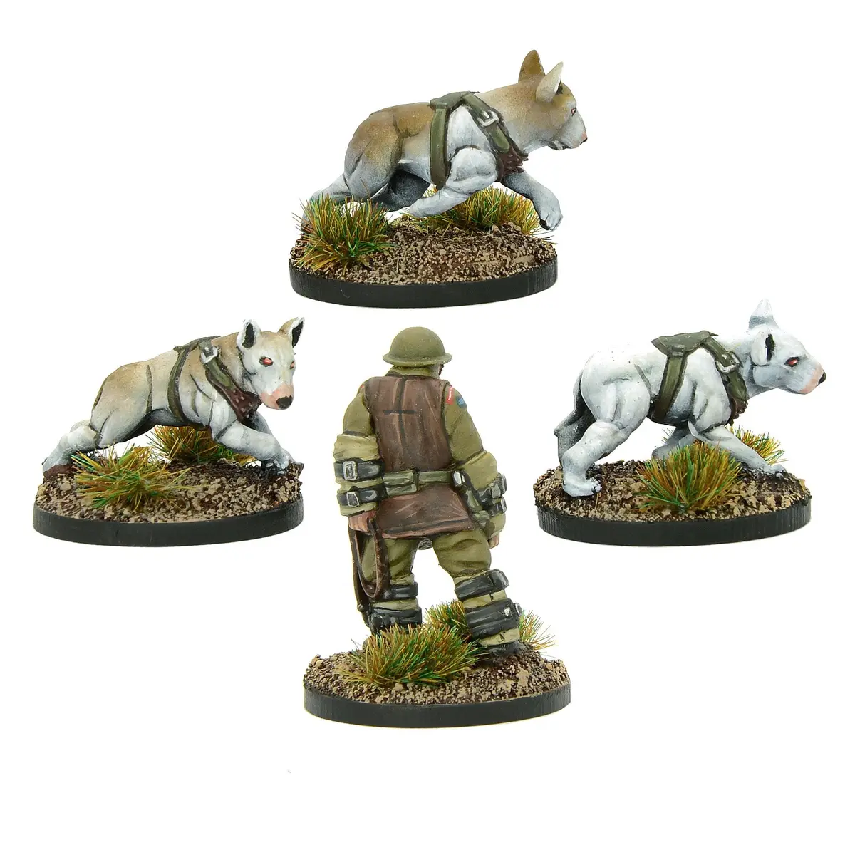 Cerberus Squad 2 2