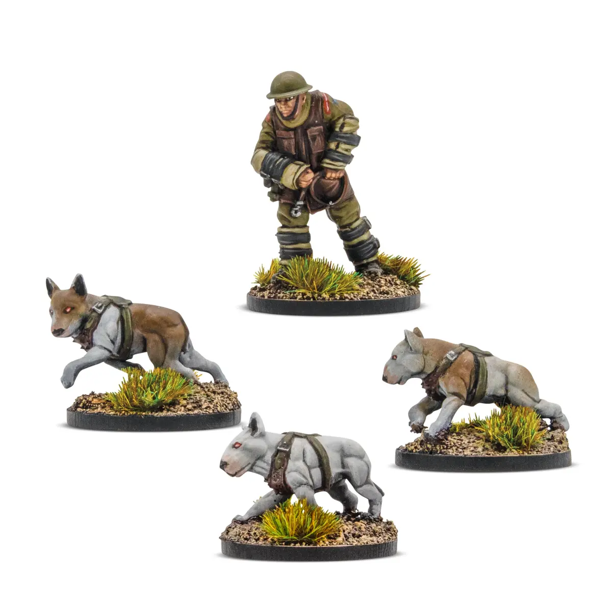 Cerberus Squad 1 1