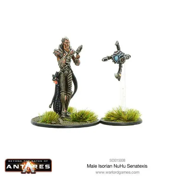Male Isorian Nuhu Senatexis 1