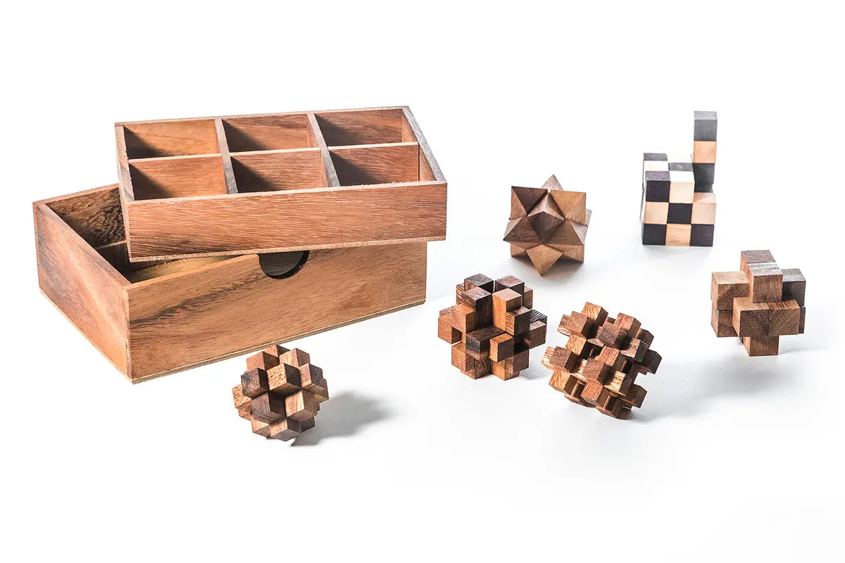 6 Stem Puzzle Gift Set - Wooden Puzzle Brain Teaser 2