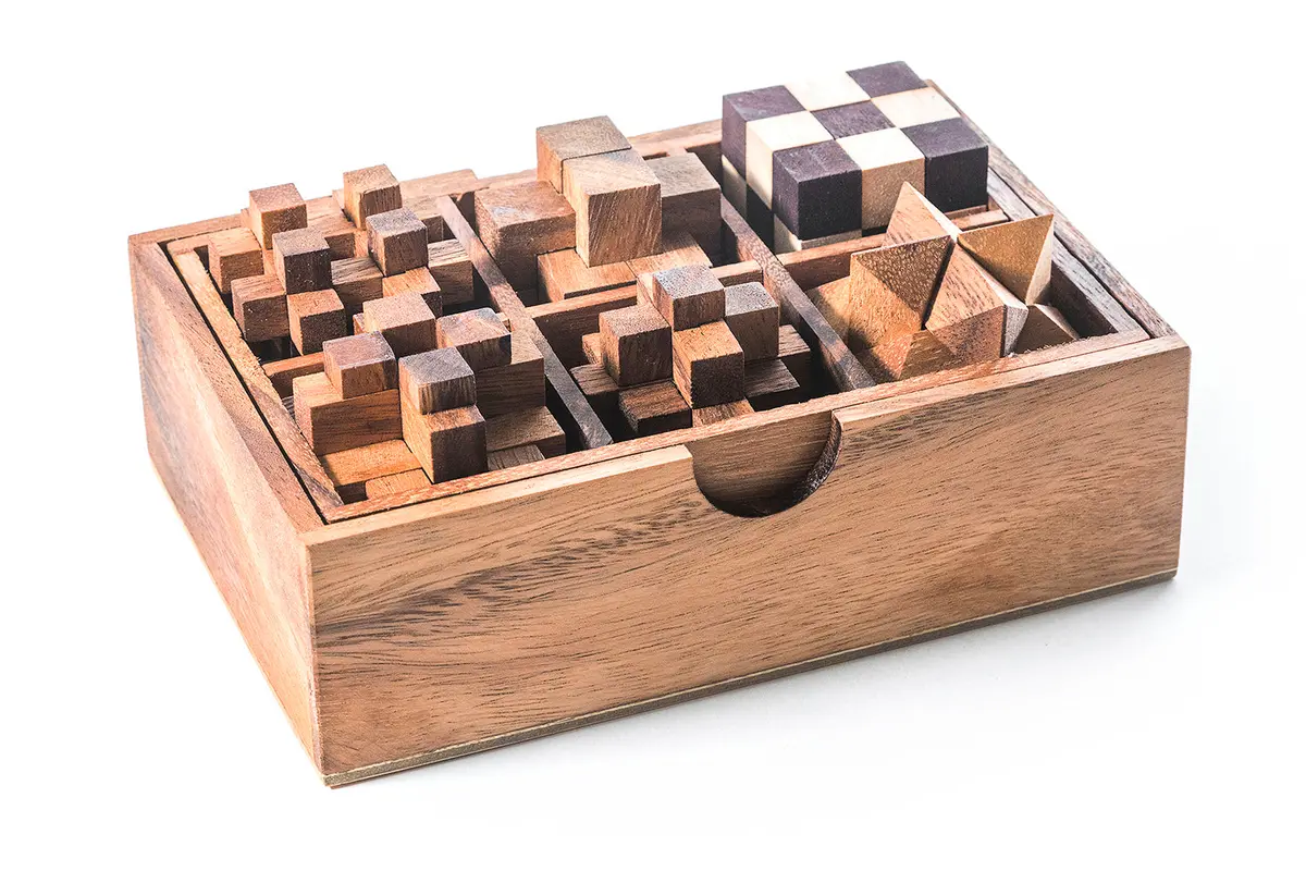 6 Stem Puzzle Gift Set - Wooden Puzzle Brain Teaser 1