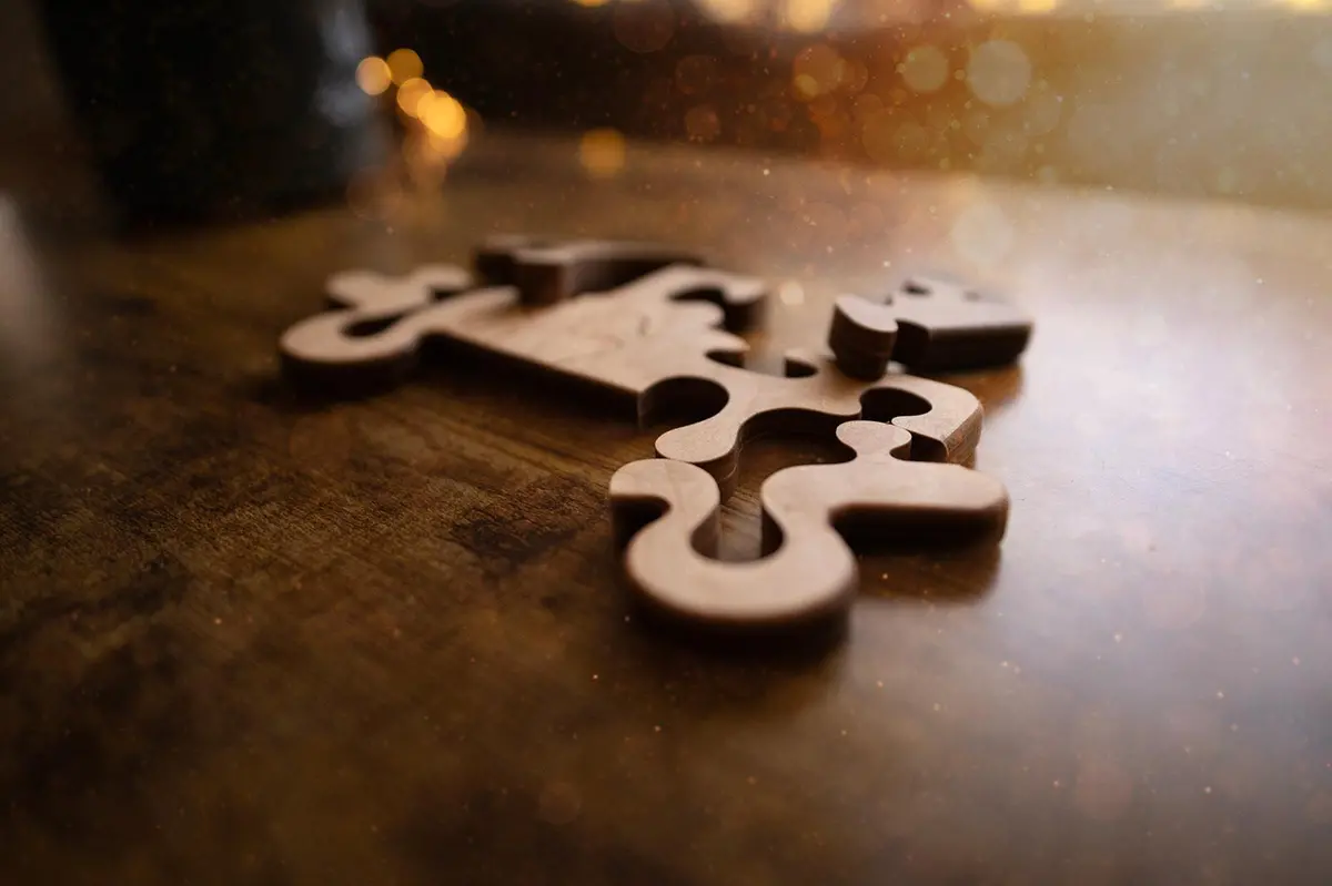 Double Sided Truck Puzzle 2