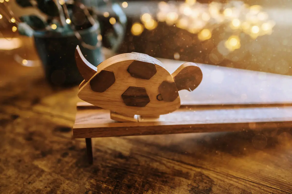 Walking Turtle Toy 1
