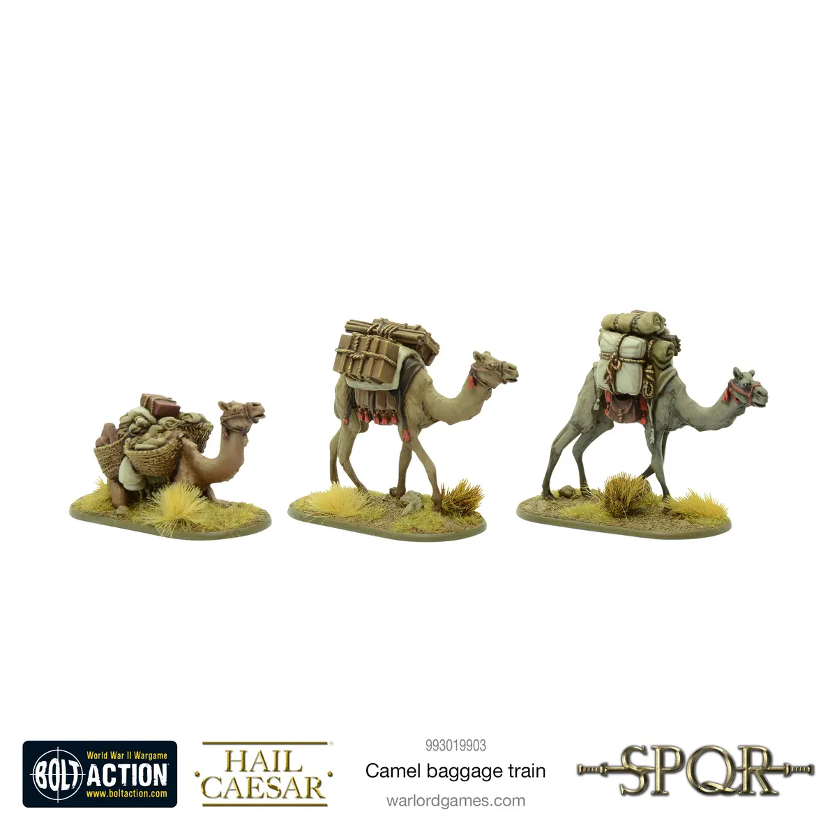Camel Baggage Train 1