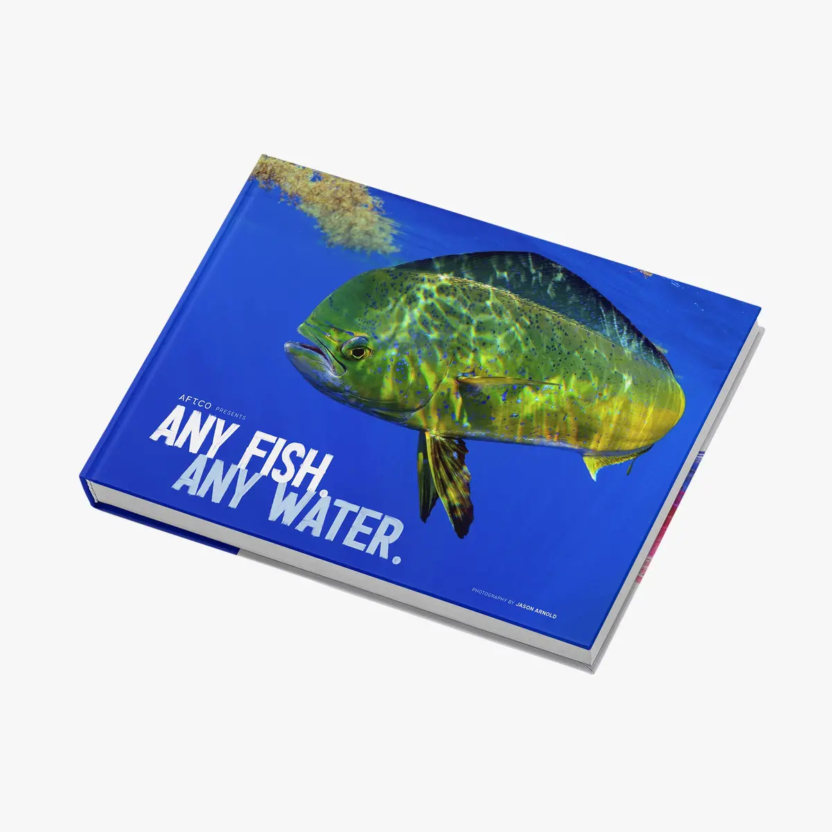 Any Fish, Any Water: Photography By Jason Arnold 1