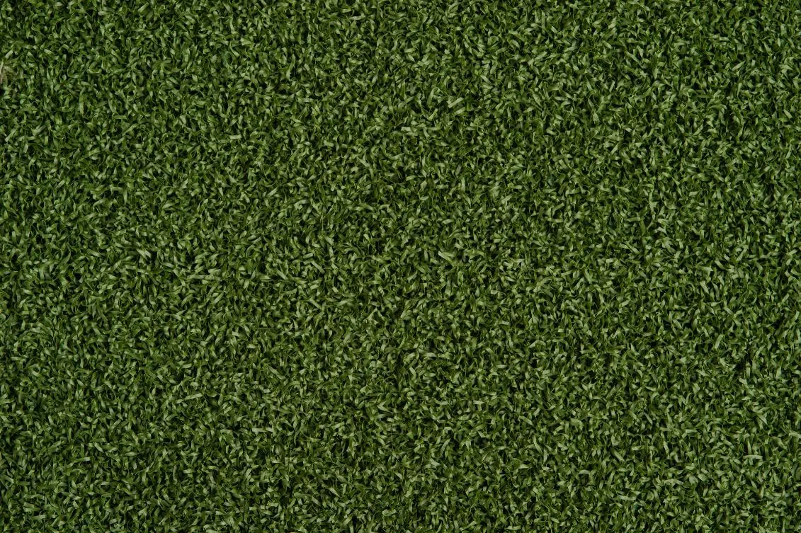 Masters - Pro Putt H2oz 2