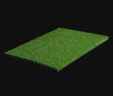 Shield Cricket Wicket Green 1