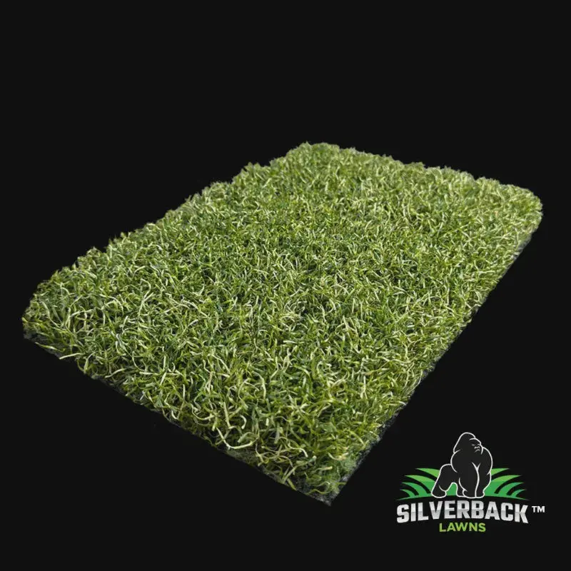 Silverback Lawn™ Natural 40 V8 1