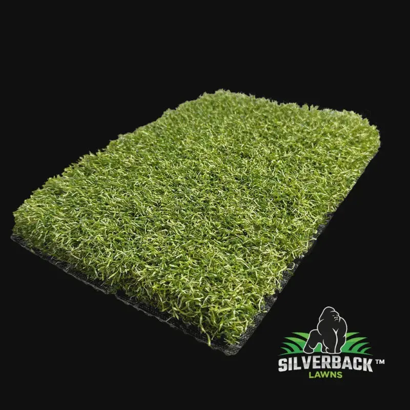 Silverback Lawn™ Hd V8 1