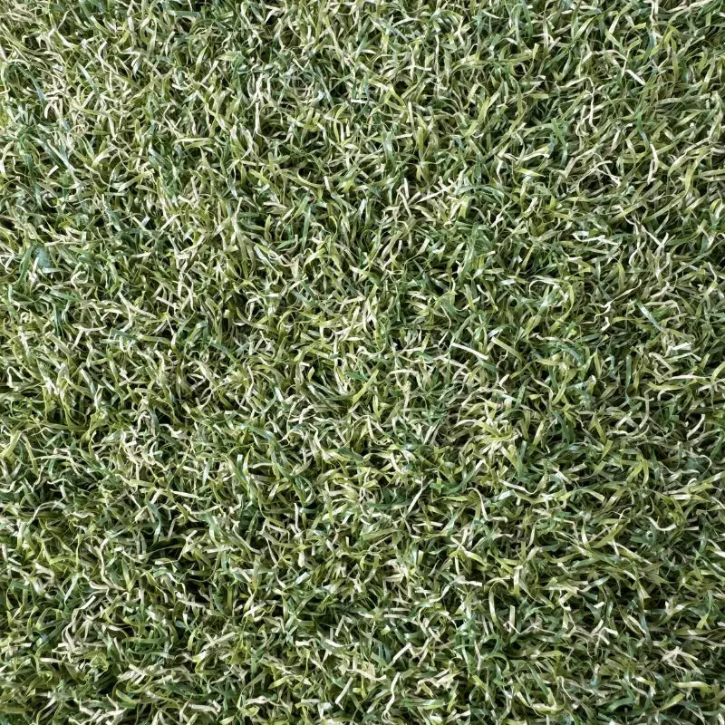 Silverback Lawn™ Hd V8 2