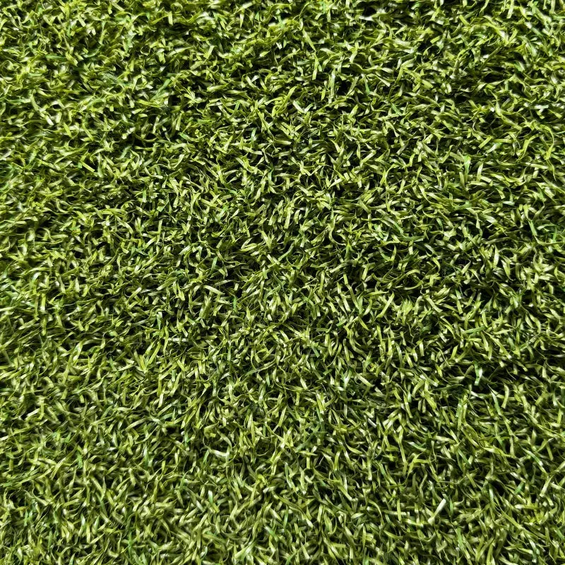 Sugarcane Silverback Lawn™ V8 35 2