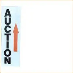 Auction Narrow Arrows (25/Pack) 1