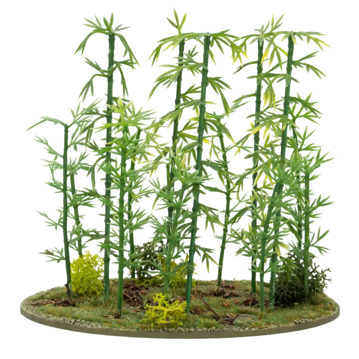 Japanese Bamboo Bushes 1