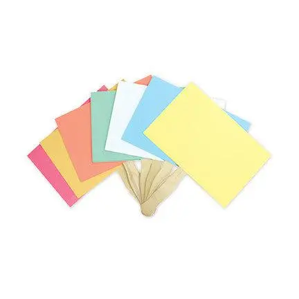 Stock Blank "D-Lux" Bid Paddle (100/Pack) 1