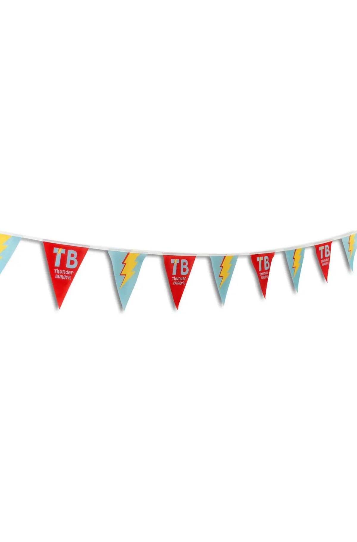 Custom String Pennant Flags 5