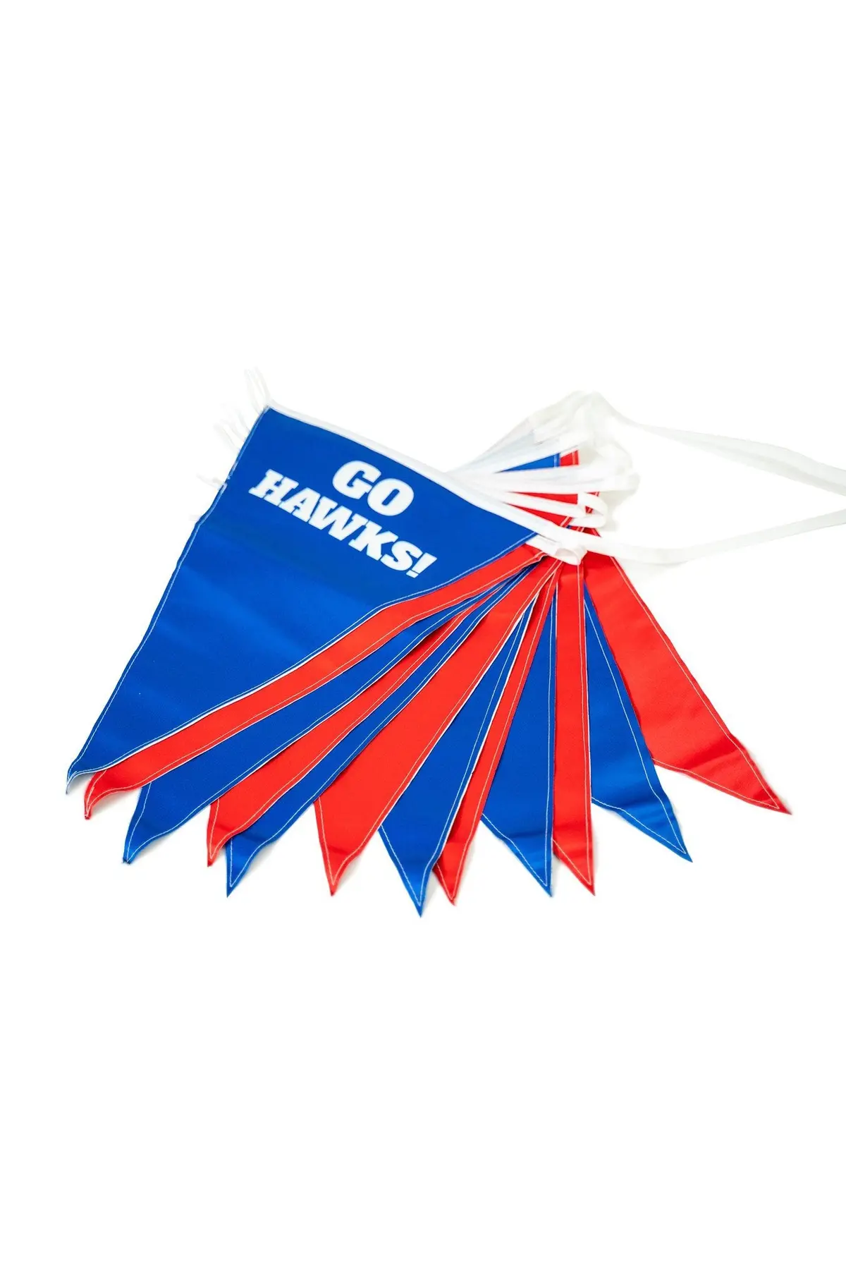 Custom String Pennant Flags 2