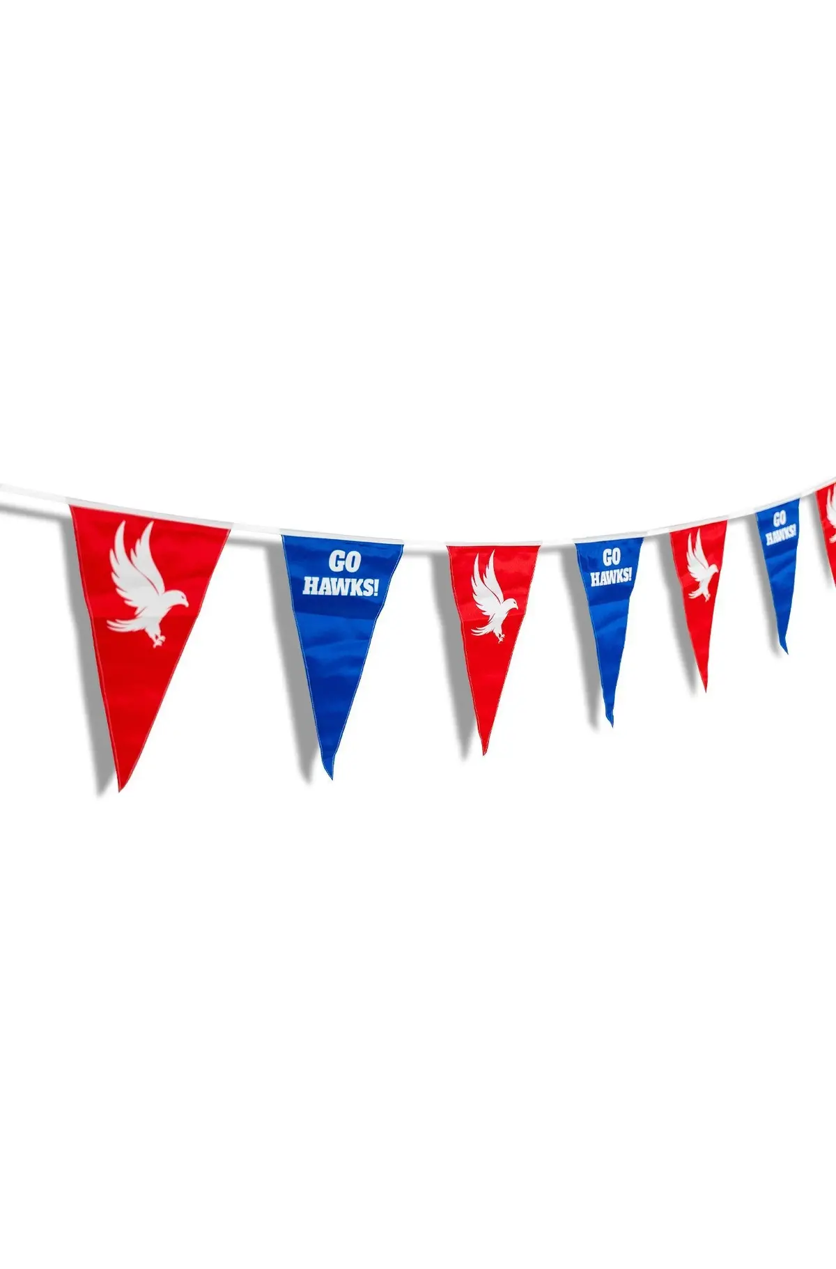 Custom String Pennant Flags 3