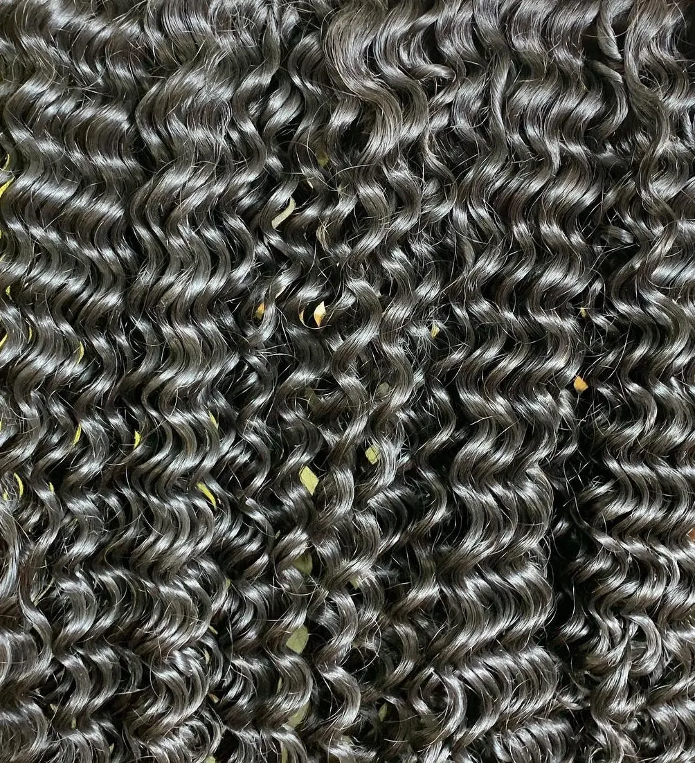 Burmese Curl Raw Vietnamese Bundles 1