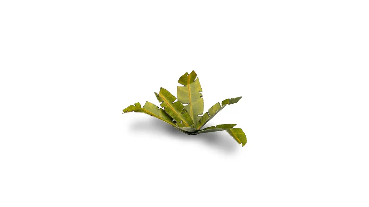 Laser Plants - Banana Tree 2