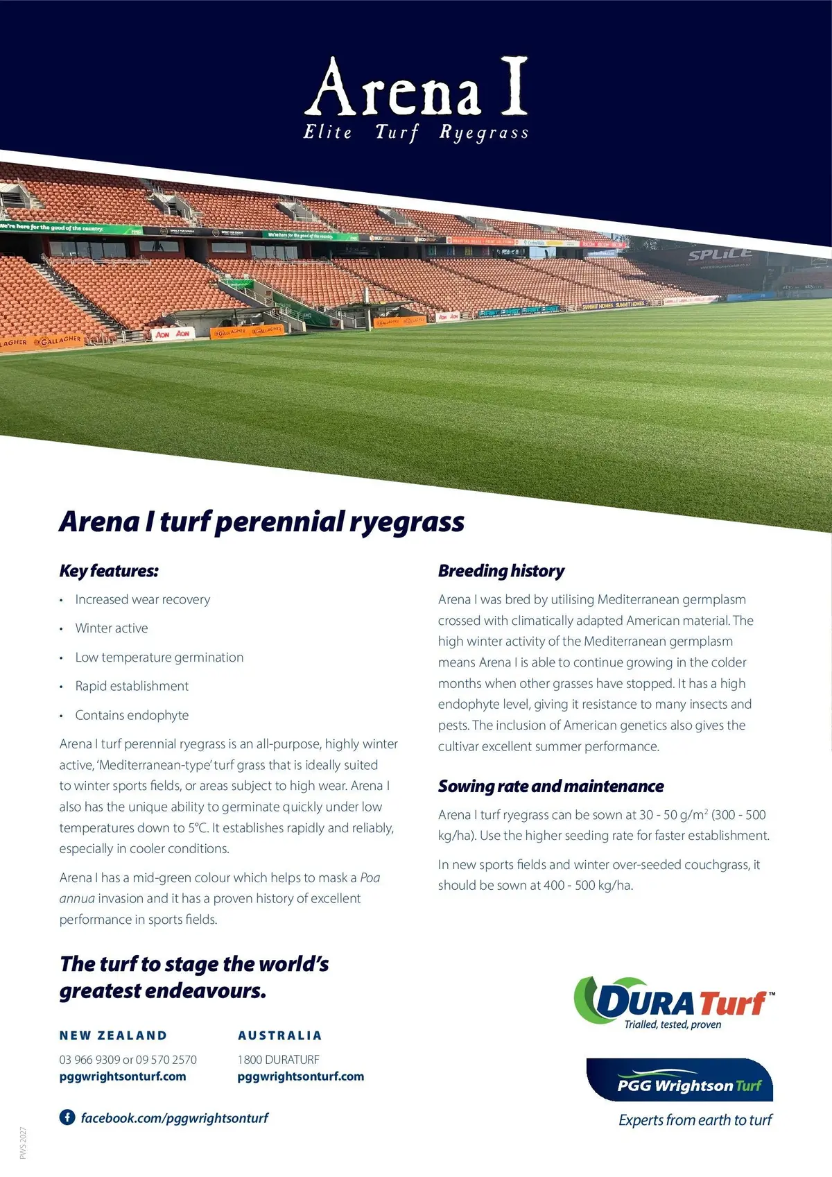 Arena Ryegrass Seed 1