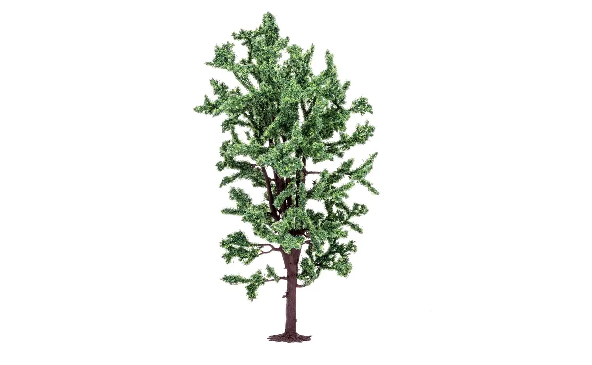 Horse Chestnut Tree - 8.5Cm 1