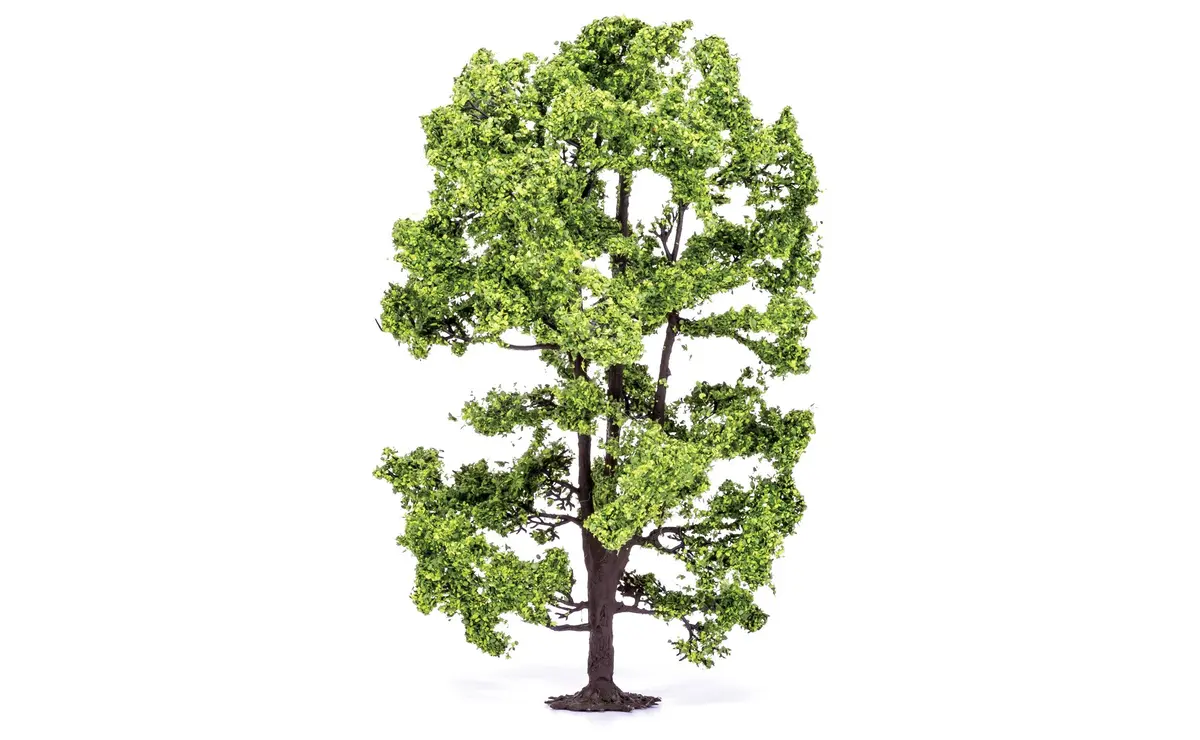 Acacia Tree - 15Cm 1
