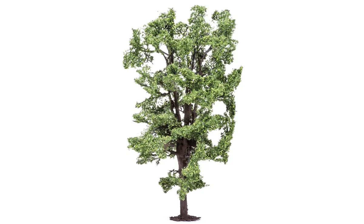 Chestnut Tree - 19.5Cm 1