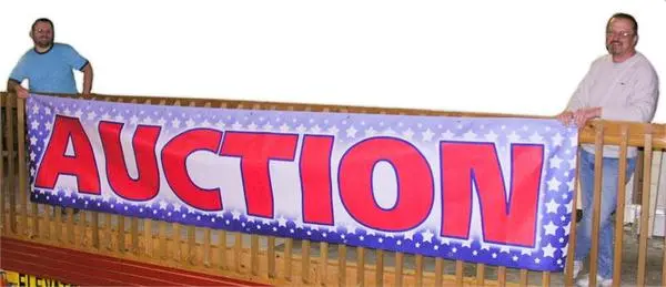Red, White & Blue "Auction" Banners - 3' By Several Options 3